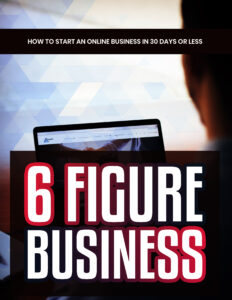 6 Figure Business Training guide